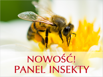 Nowość! Panel INSEKTY